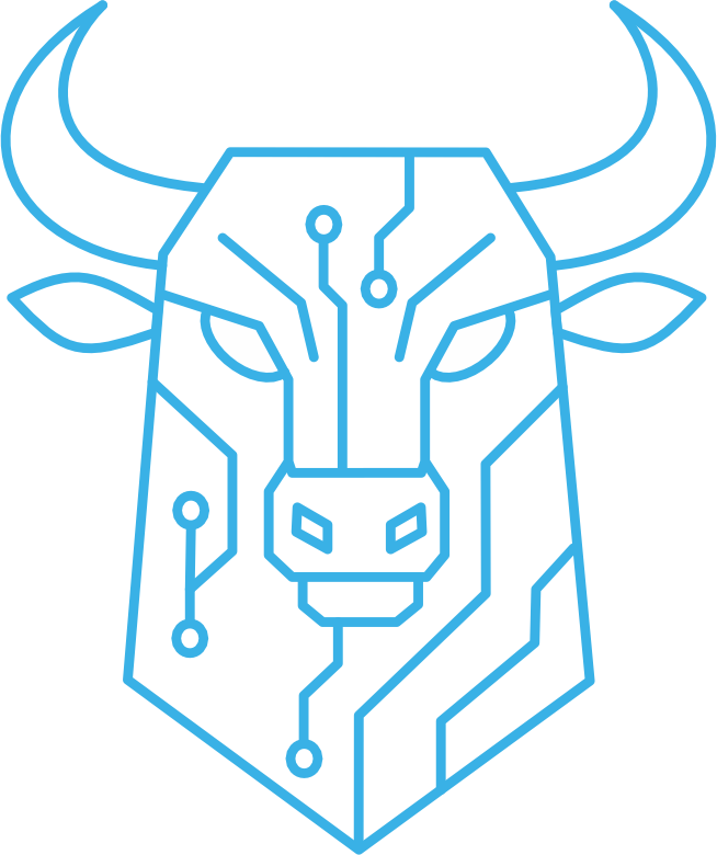 CodingBull Technovations Pvt Ltd